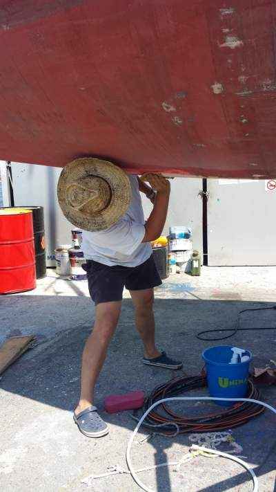 Letno urejanje LILJE