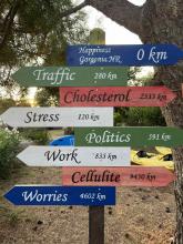 12. dan dopusta 2024