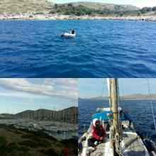 4. Dan Piškera - Vis