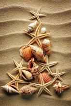 Morska novo letna jelka