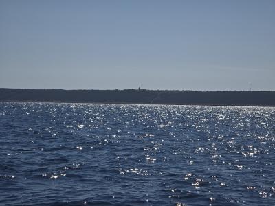 Otok Premuda