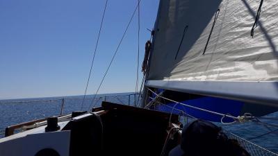 veter se je prebudil