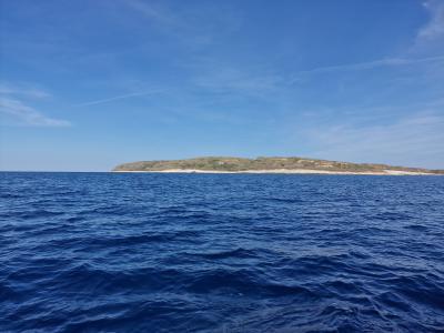 Mimo južnega dela Suska