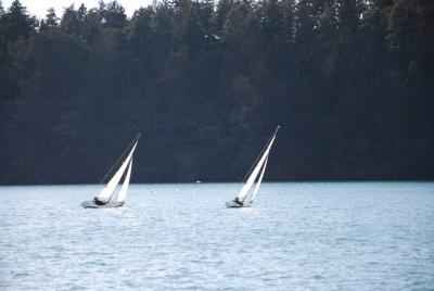 Regata Povodni mož 2016
