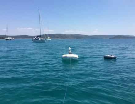 10. dan Dugi otok