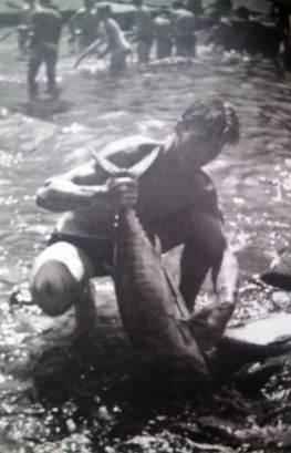 Tunolov na slovenski način