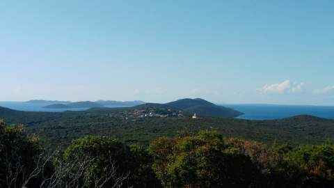 Otok Sestrunj