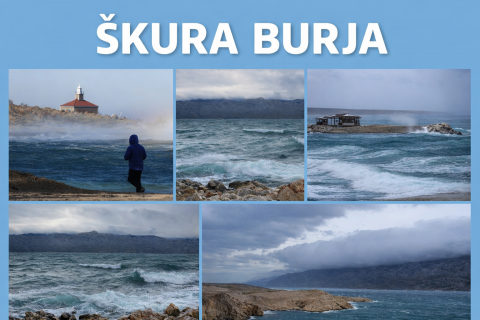 Škura Burja