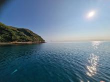 Zaliv Porat Susak